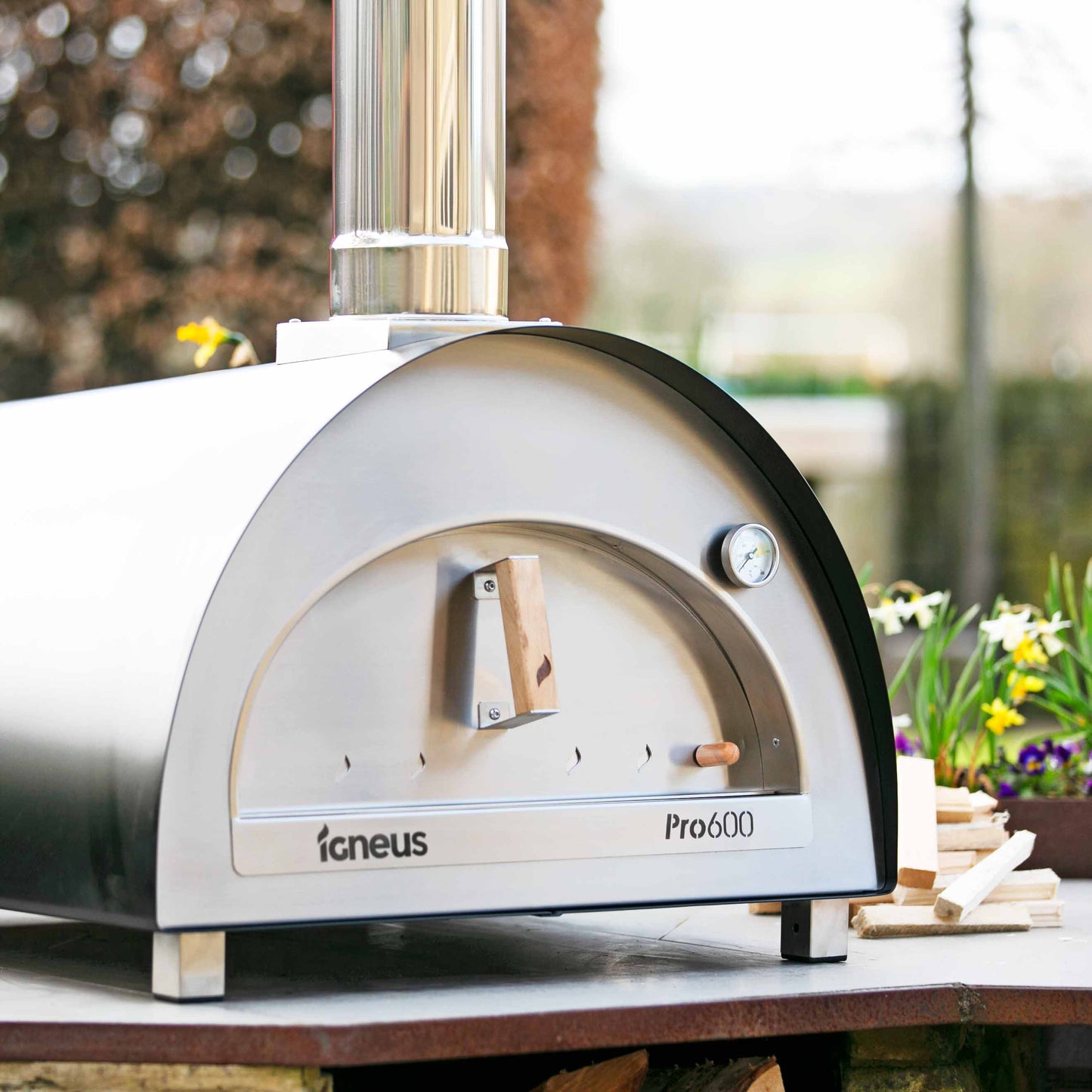 Igneus Pro 600 Pizza Oven: Unleash Culinary Excellence